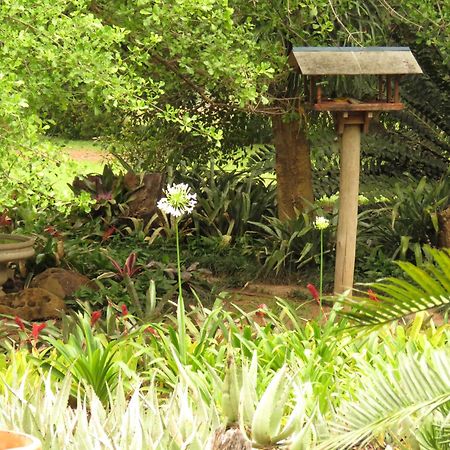 Kiaat Bungalows Hazyview Bagian luar foto