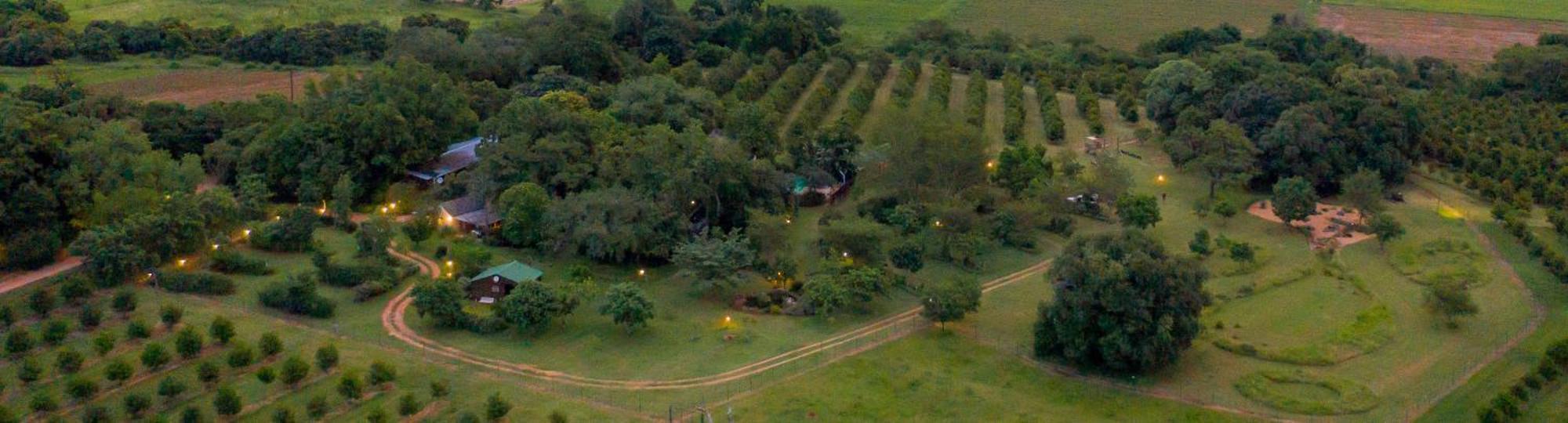 Kiaat Bungalows Hazyview Bagian luar foto