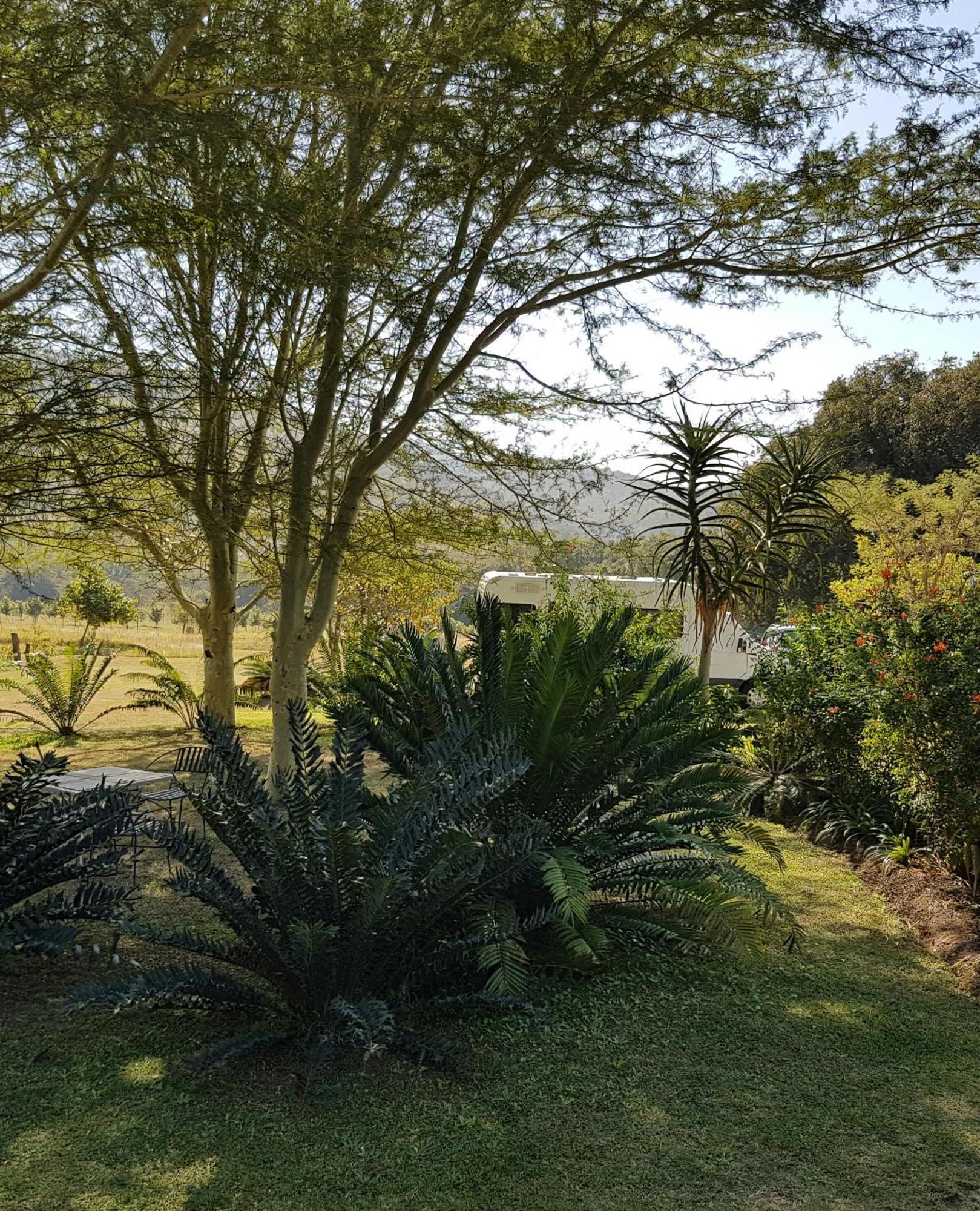Kiaat Bungalows Hazyview Bagian luar foto